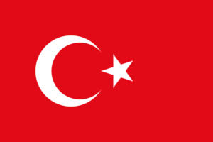 Estudio del turco por Skype